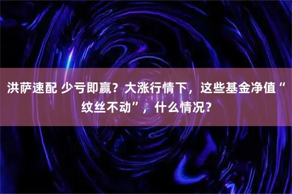 洪萨速配 少亏即赢？大涨行情下，这些基金净值“纹丝不动”，什么情况？